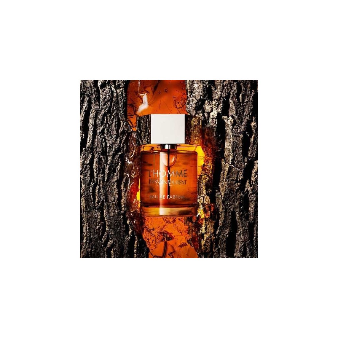 Yves Saint Laurent L'Homme Eau de Parfum