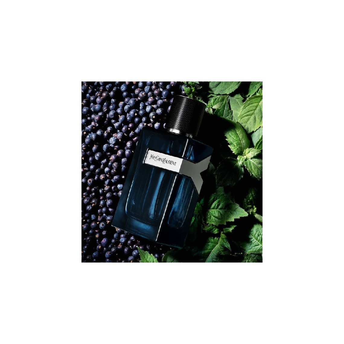 Yves Saint Laurent Y Eau de Parfum Intense