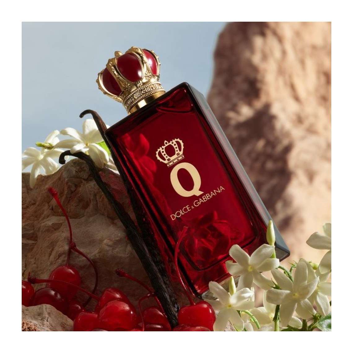 Q Pour Femme Parfum Dolce&Gabbana | Profumo Donna 2025