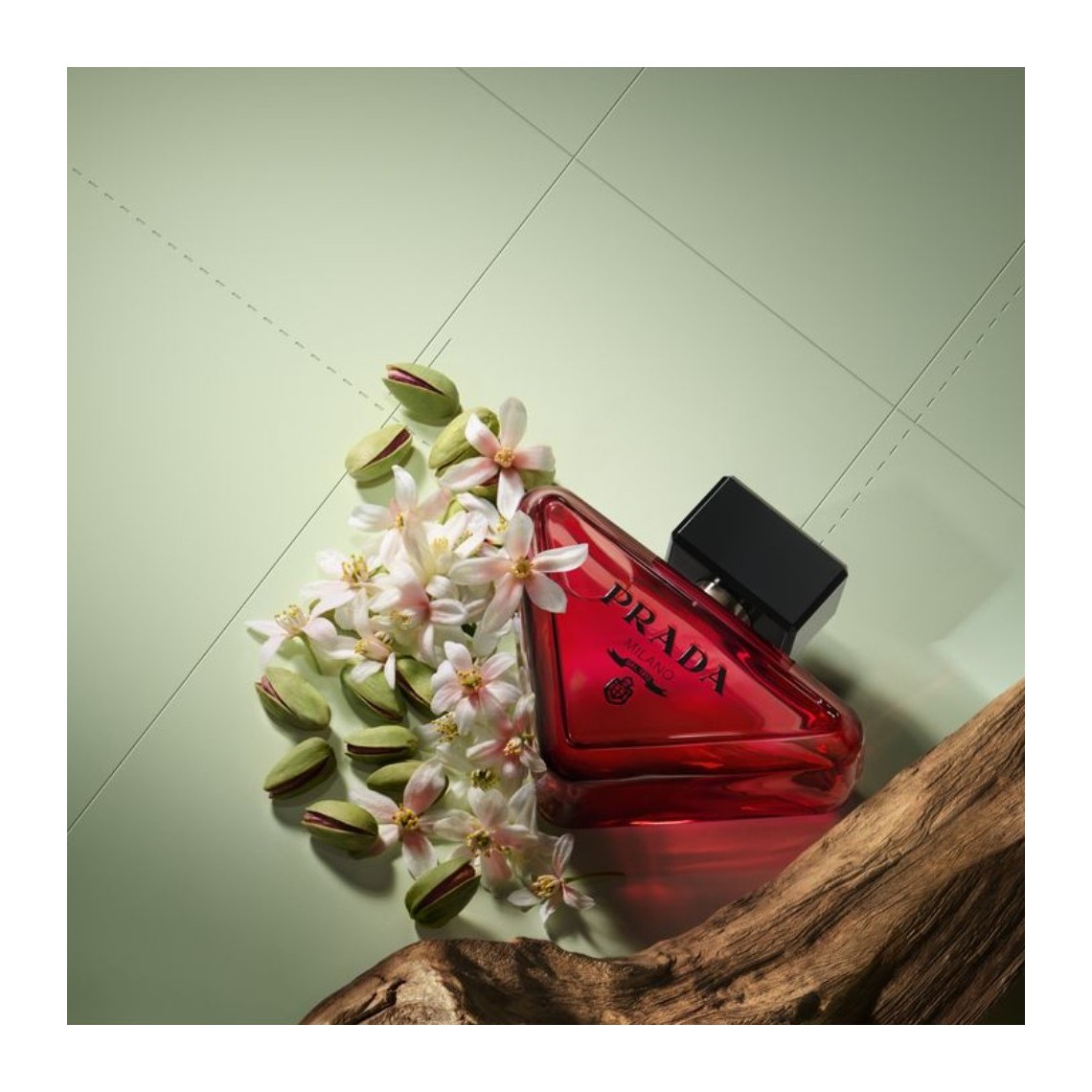 Prada Paradoxe Radical Essence Parfum | Gourmand Floreale 2025