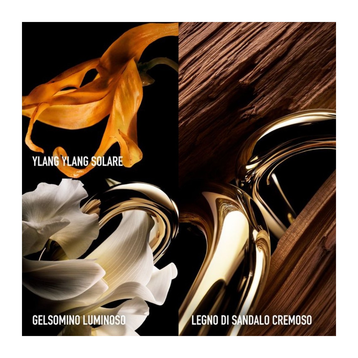 Million Gold For Her Parfum – Paco Rabanne | Profumo Donna 2025