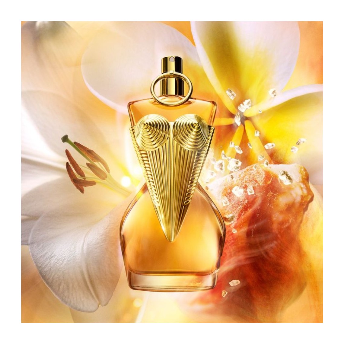 Jean Paul Gaultier Divine Le Parfum EDP Intense | Profumo Donna