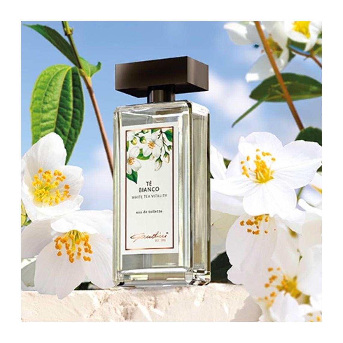 DIUFJAG 200ml – White Tea Tè Bianco Profumo per ambienti con 8 Bacchette,Diffuso