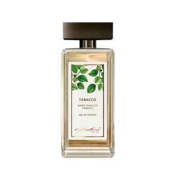 Gandini Tabacco Warm Tobacco Embrace EDT 100ml | Uomo