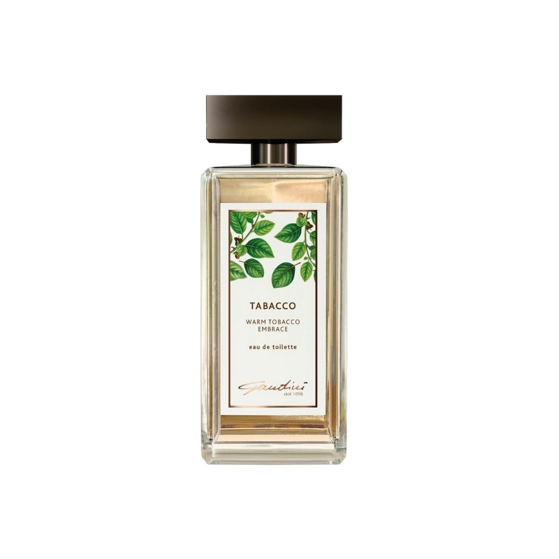Gandini Tabacco Warm Tobacco Embrace EDT 100ml | Uomo