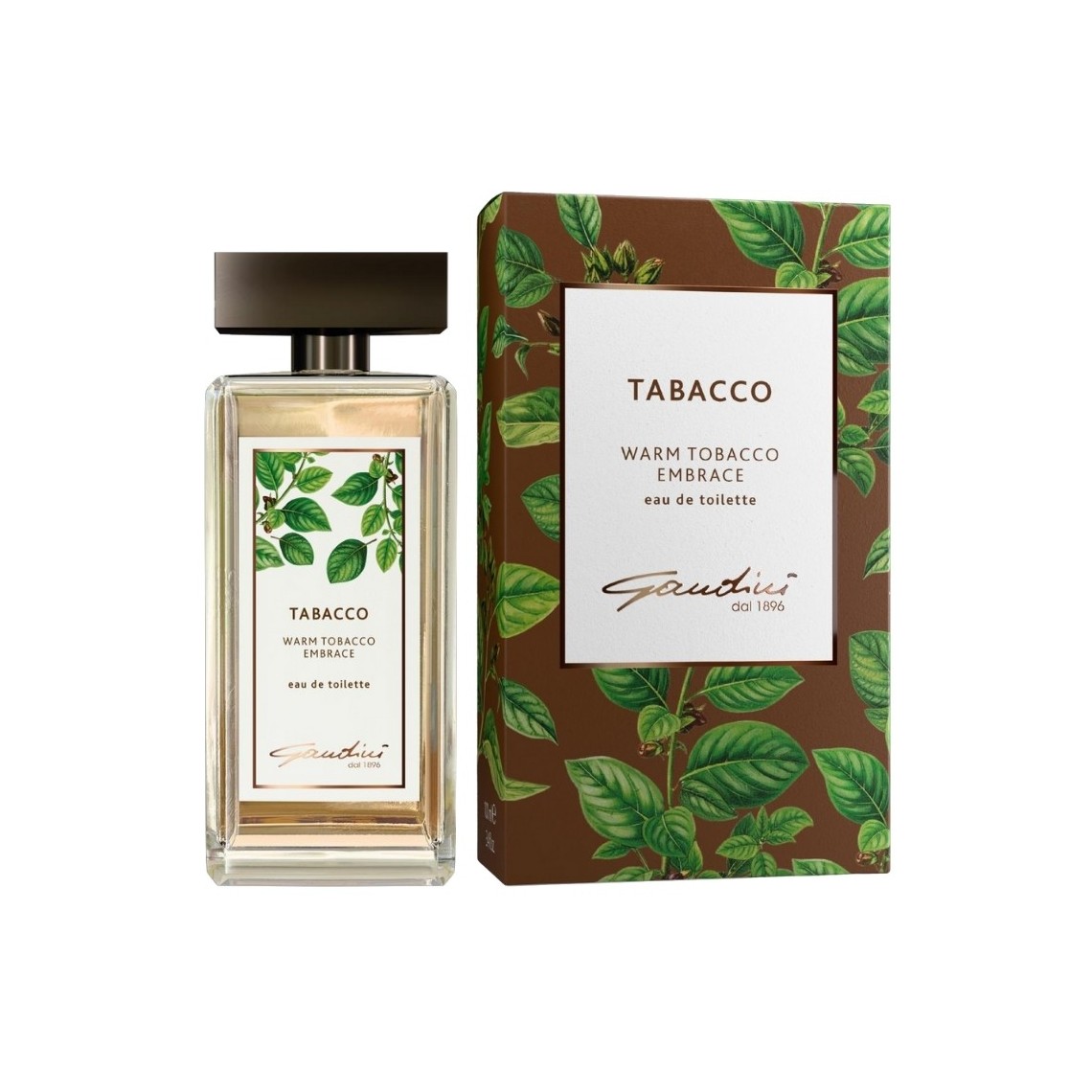 Gandini Tabacco Warm Tobacco Embrace EDT 100ml | Uomo