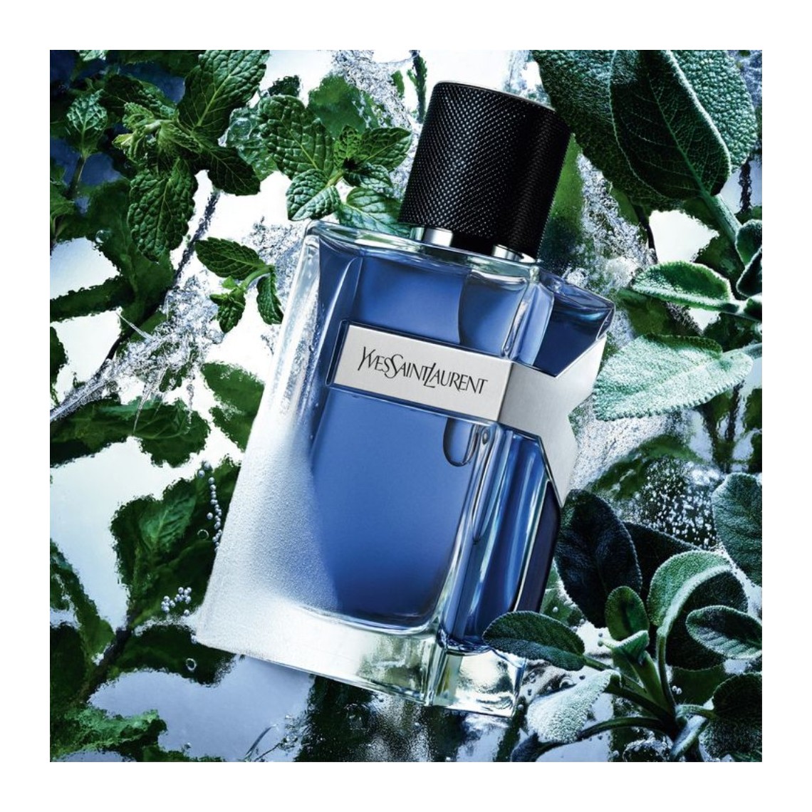 YSL Y Iced Cologne EDT Intense | Profumo Uomo 2026
