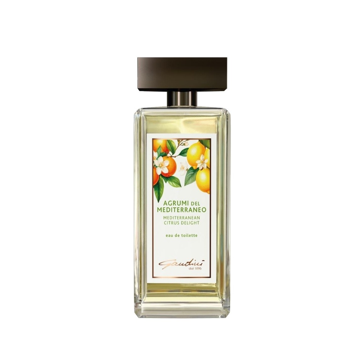 Gandini Agrumi del Mediterraneo EDT 100ml | Profumo Donna