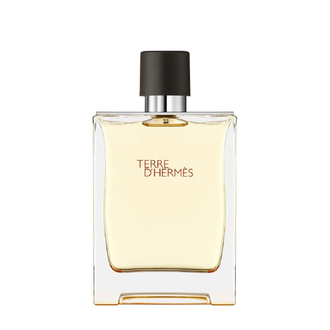 Terre D'Hermes Eau de Toilette