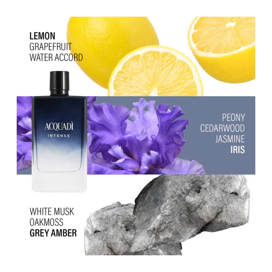 Acquadì Intense Eau de Toilette