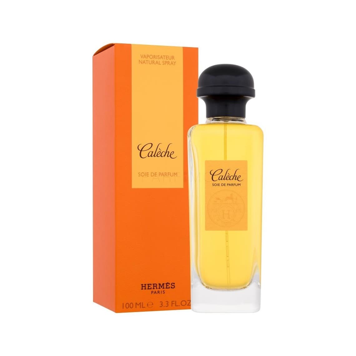 Caleche Soie De Parfum Eau de Parfum 100ml spray