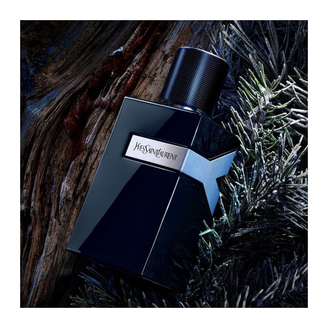 YSL Y Men Le Parfum