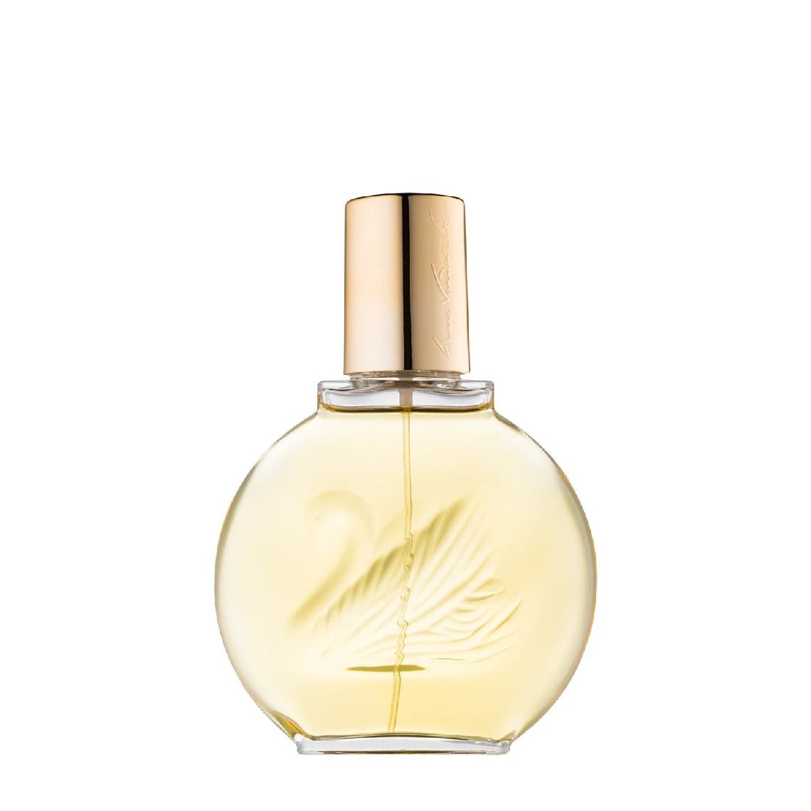 Vanderbilt Eau de Toilette 100ml | Gloria Vanderbilt Profumo Donna