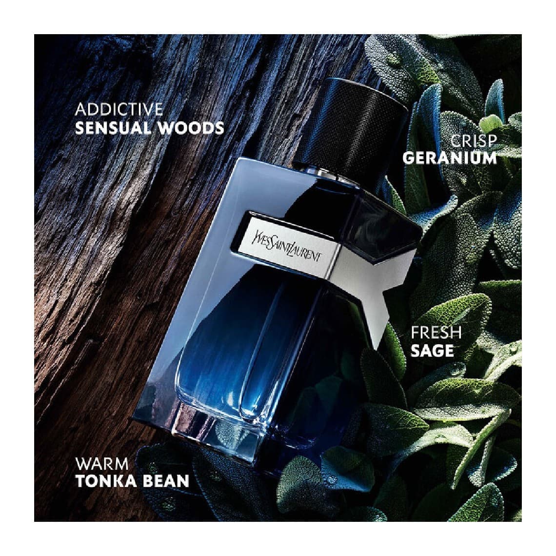 Y Men Eau de Parfum