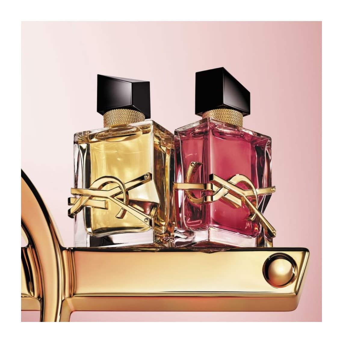Libre Berry Crush Eau de Parfum Fruitee