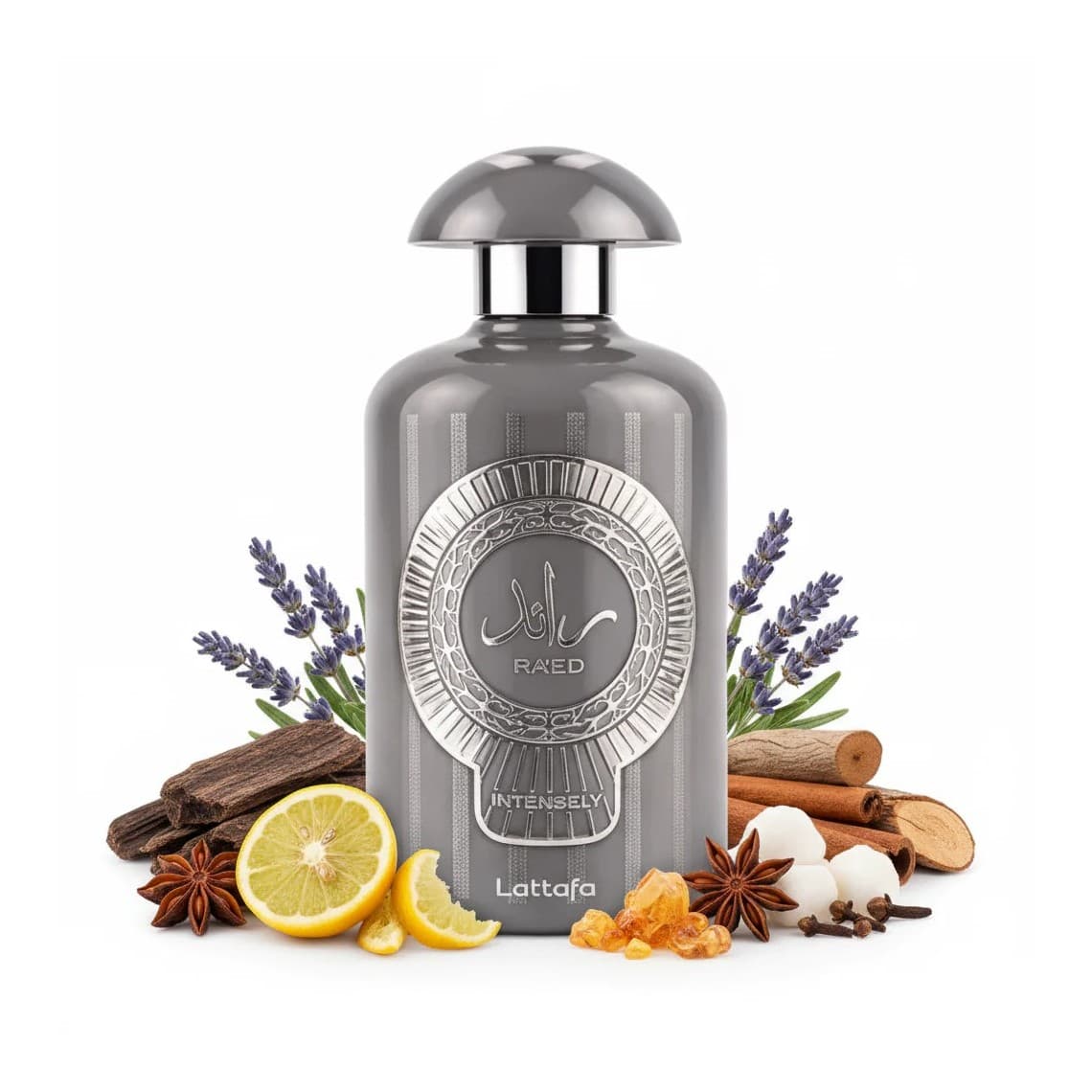 Lattafa Ra'ed Intensely Eau de Parfum 100ml spray