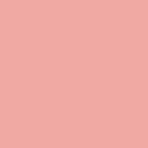 08_DEB salmon rose