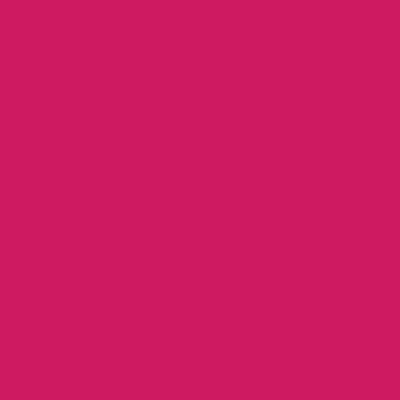 12_DEBBY delirious fuchsia