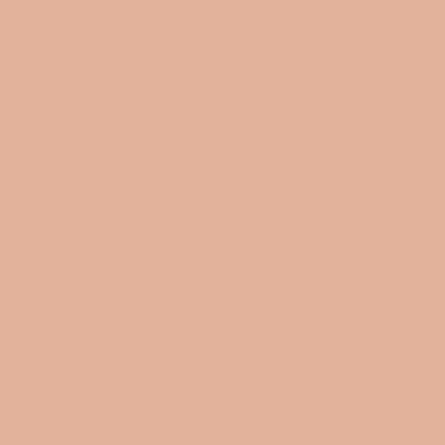 01 nude rose
