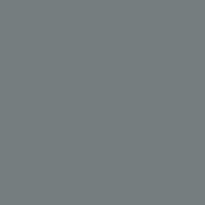 02 -DARK SILVER