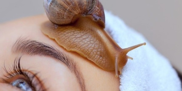 Bava di Lumaca nei Cosmetici, cosa è e quali sono i suoi benefici